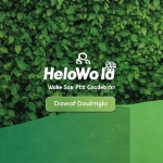 HelloWorld绿色版安全下载